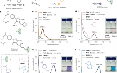 Nature Chemistry：供体-受体Stenhouse加合物的机械门控形成，实现机械化学多色软光刻