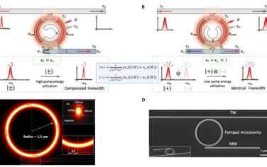 Science Advances：片上集成的特殊表面微激光器