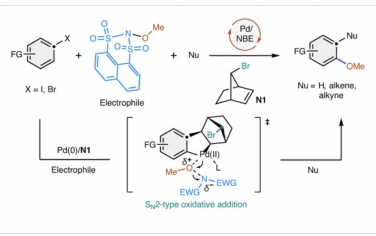 Nature Chemistry：极性反转N–O试剂实现芳基卤化物的正-C–H甲氧基化