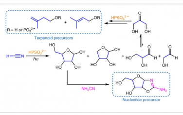 Nature Chemistry：硫代磷酸盐光化学使益生元能够获得糖和萜类前体