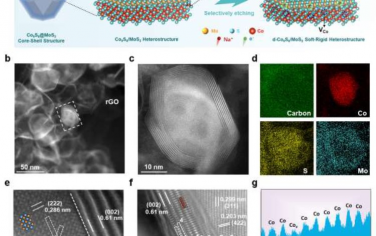 Advanced Materials：具有功能阳离子空位的软-刚性异质结构用于快速充电和高容量钠存储