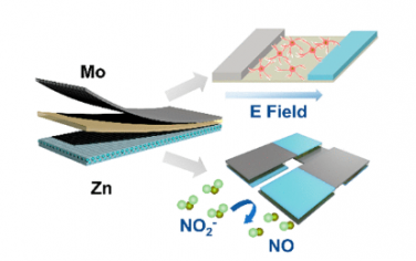 ACS Nano：完全可生物降解和长期运行的原锌电池作为电子医疗的电源
