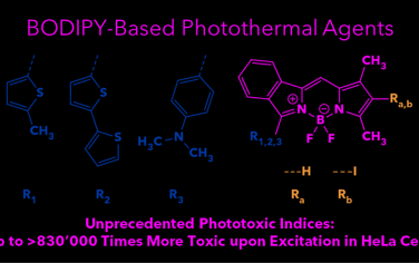 JACS：具有良好的光毒性指标的BODIPY基光热试剂用于癌症治疗