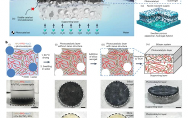 Nature Nanotechnology：用于大规模太阳能制氢的可漂浮光催化水凝胶纳米复合材料