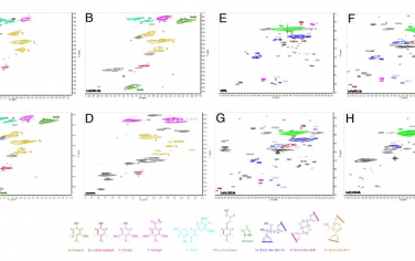 PNAS：基于N-杂环的深度共晶溶剂萃取控制结构性质的木质素