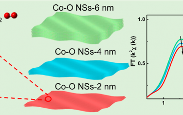 ACS Nano：烷基胺限制厚度可调合成Co(OH)2-CoO纳米片用于OER