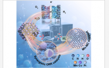 JACS：通过单金属富位碳和 Pt 之间的强耦合效应调节 Pt 和 PtCo 金属间燃料电池催化剂的催化性能和热稳定性