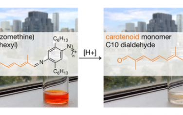 JACS：生物基、可降解和共轭聚(偶氮甲亚胺)