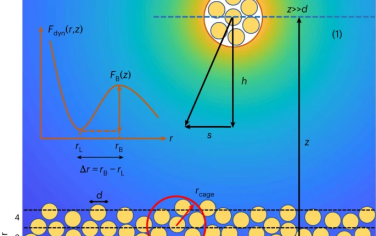Nature Physics：动力学梯度中表面诱导长程尾的集体弹性玻璃物理特征
