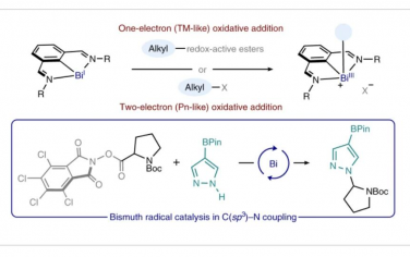 Nature Chemistry：铋自由基催化氧化还原活性亲电试剂的活化和偶联