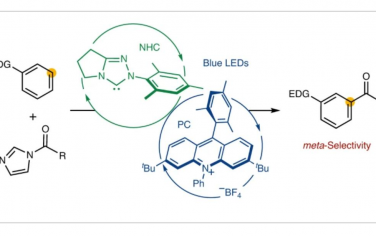 Nature Synthesis：N-杂环碳烯和有机光氧化还原催化富电子芳烃的亚选择性酰化反应