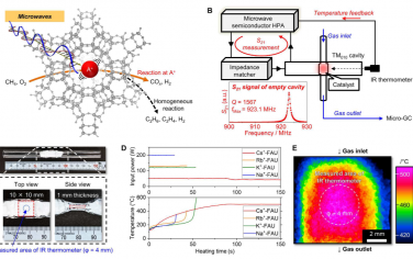 Science Advances：在单一阳离子上直接输入微波能量以实现优异的选择性催化