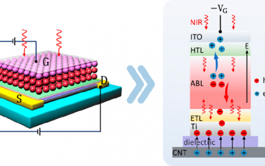 ACS Nano：用于超高外量子效率光电探测器的胶体量子点光敏栅碳纳米管晶体管