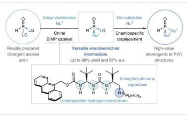 Nature Chemistry：膦酸酯的催化对映选择性亲核去对称化