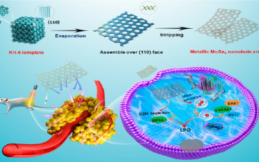 ACS Nano：纳米孔阵列诱导的金属硒化钼纳米酶用于光增强肿瘤特异性治疗