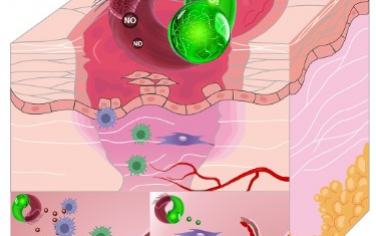 Nano Letters：双管齐下的微生物水凝胶
