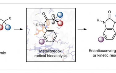 Nature Catalysis：金属氧化还原生物催化实现芳烃的酶控立体选择性自由基环化