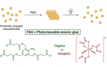 JACS: 用于光响应纳米粒子聚集体的光裂解阴离子胶