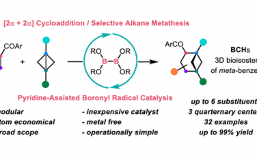 JACS：[2σ+2σ]自由基环加成合成双环[3.1.1]庚烷