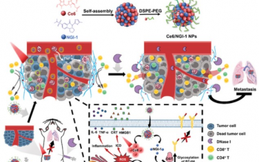 Advanced Functional Materials： 对抗三阴性乳腺癌的协同方法