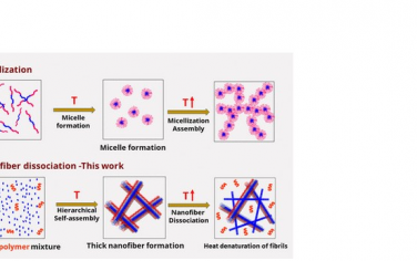 ACS Nano：温度诱导纳米结构转变可在水中实现超分子凝胶化