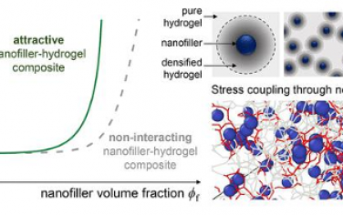ACS Nano：局部机制控制纳米填料-水凝胶复合材料的整体增强