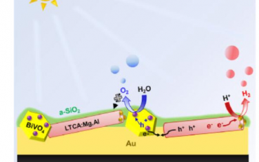 Joule：氧化物层涂层使基于氧硫化物的光催化剂片能够在大气压下驱动水分解