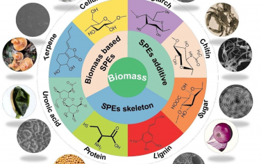 EES：为安全、能量密集的锂金属电池设计生物质集成固体聚合物电解质