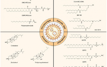 Advanced Materials：脂质纳米颗粒递送mRNA治疗癌症最新综述