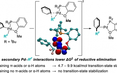 ACS Catal：芳基氟烷基钯过渡态中间体的理论研究
