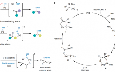 Nature Synthesis：铁催化合成非天然手性α-氨基酸