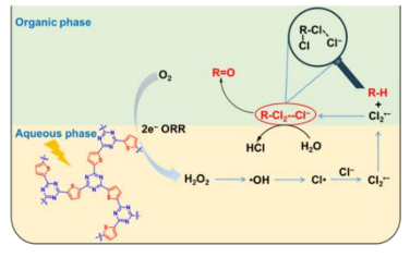 Angew：Cl2·-将C(sp3)-H转化为醛/酮