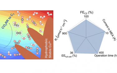 JACS：树枝Cu催化剂稳定Cuδ+物种稳定电催化CO2还原