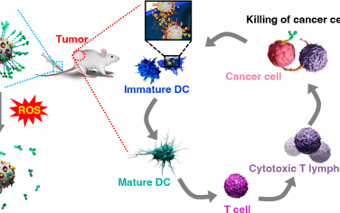 ACS Nano：对活性氧敏感、负载TheraVac的介孔二氧化硅纳米粒子可诱导肿瘤特异性免疫以治疗结肠肿瘤