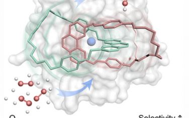JACS: 机械联锁增强分子铜配合物的电催化氧还原活性和选择性
