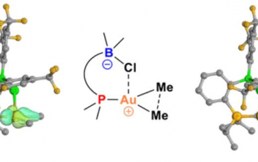 JACS: 路易斯酸辅助的C（sp3）–C（sp3）还原消除