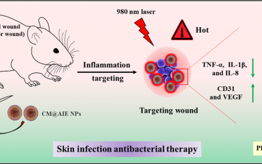 ACS Nano：靶向炎症细胞因子的类中性粒细胞仿生AIE纳米颗粒用于光热治疗和缓解炎症