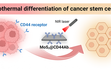 Nano Lett：利用靶向CD44的MoS2纳米片的光热效应衰减癌细胞干性、化学抗性和迁移
