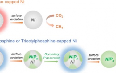 JACS：表面活性剂可调节镍纳米颗粒表面演化以实现选择性CO2加氢