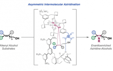 JACS：手性阳离子调控合成手性氮杂环丙烷