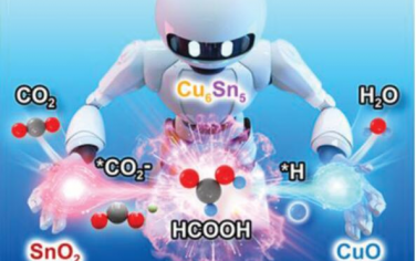 AEM: SnO2/Cu6Sn5/CuO中相边界衍生的多活性位点用于CO2电还原成甲酸