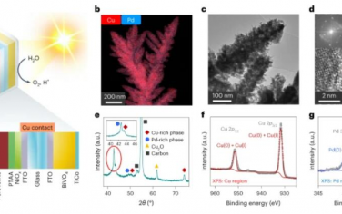 Nature Energy：使用独立的钙钛矿-BiVO4人造叶片生产太阳能驱动的液体多碳燃料