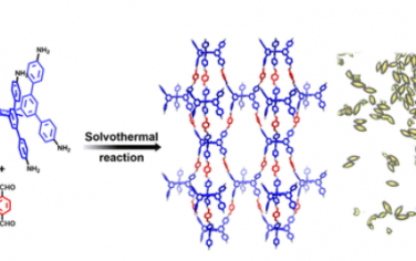 JACS：由六连三角棱柱节点构建的单晶三维共价有机框架