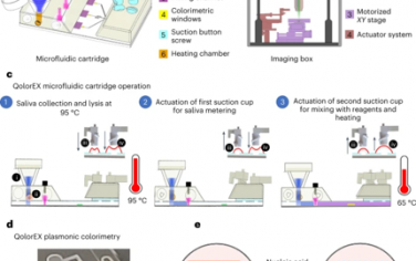 Nature Nanotechnology：微流体中的纳米等离子体扩增能够加速病原体核酸生物标志物的比色定量