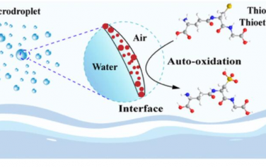 JACS: 硫醇和硫醚在海喷雾微滴空气-水界面的自发氧化