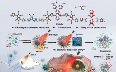 Adv. Mater：NIR-II光加速含Pt(IV)的伪半导体聚合物的前药还原以用于光热/化学-免疫治疗