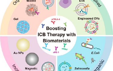 ACS Nano综述：利用生物材料增强检查点免疫治疗