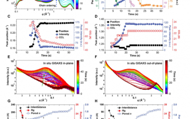 Science Advances：用于高功率密度燃料电池的具有“流-库”离子通道的高温低湿质子交换膜