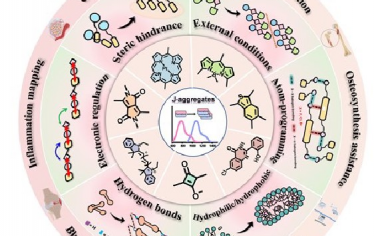 Advanced Materials综述：面向分子荧光团强化NIR-II荧光生物成像的J聚集策略
