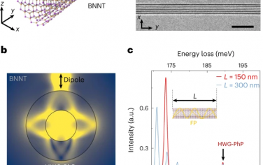 Nature Nanotechnology：氮化硼纳米管中的双曲回音廊模式声子极化子